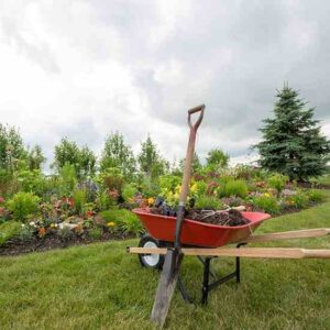 Country Lore: Landscaping on a Budget Image